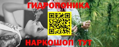 МДПВ Будённовск